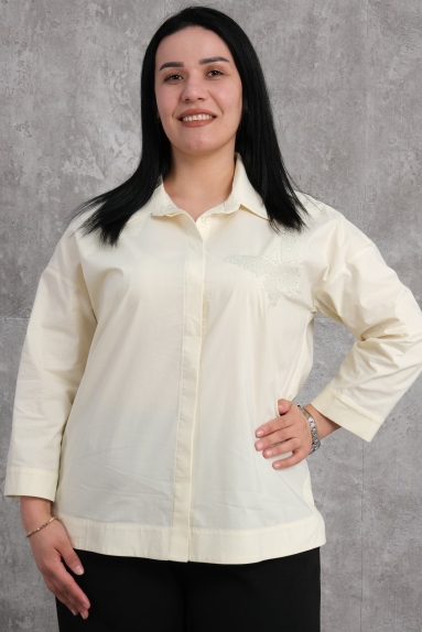 wholesaleKadın Giyim Büyük Beden Gömlek